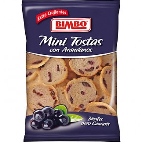 BIMBO mini tostas con arandanos 100 grs
